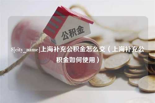 林芝上海补充公积金怎么交（上海补充公积金如何使用）